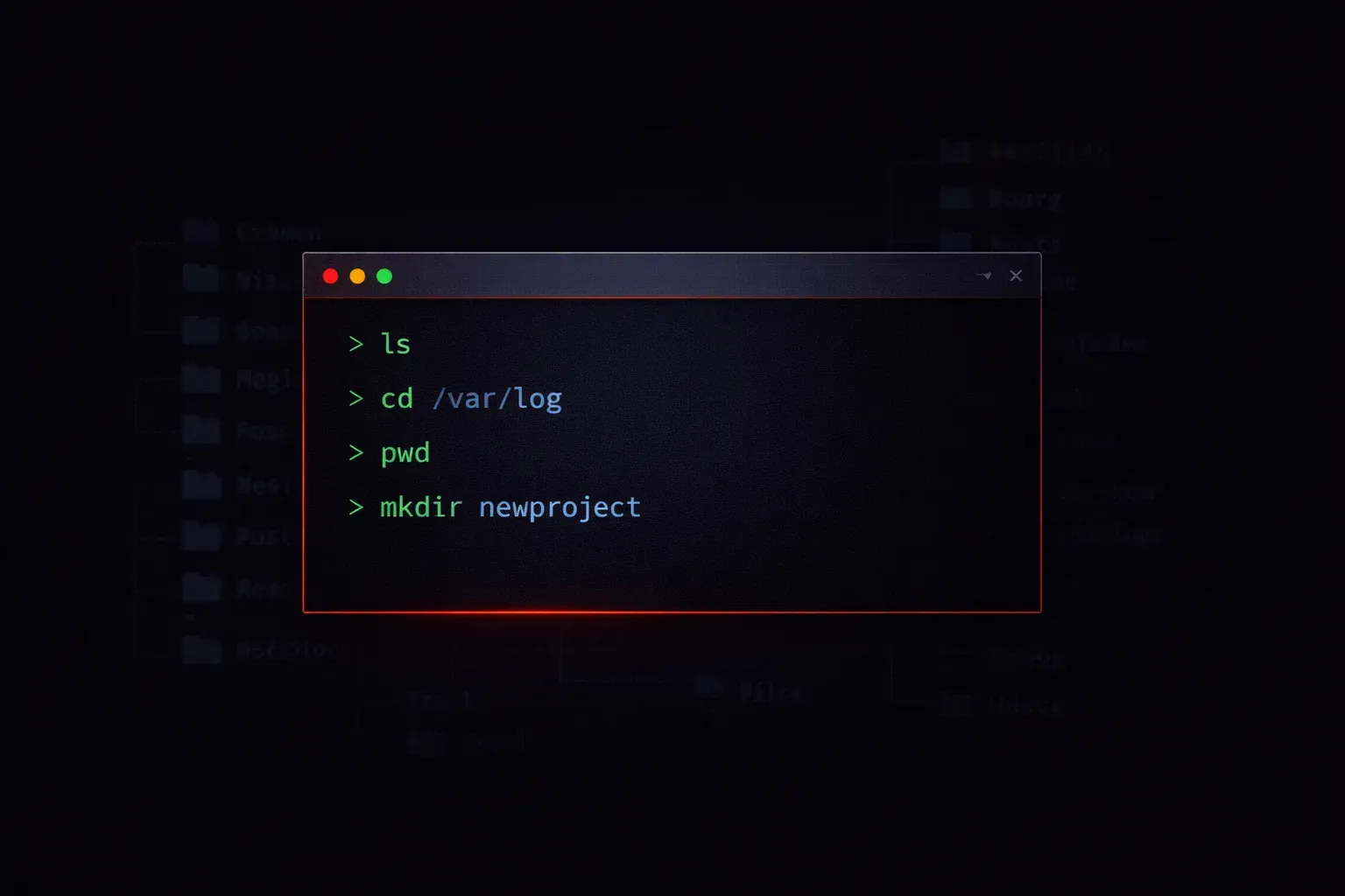 Your First Bash Commands