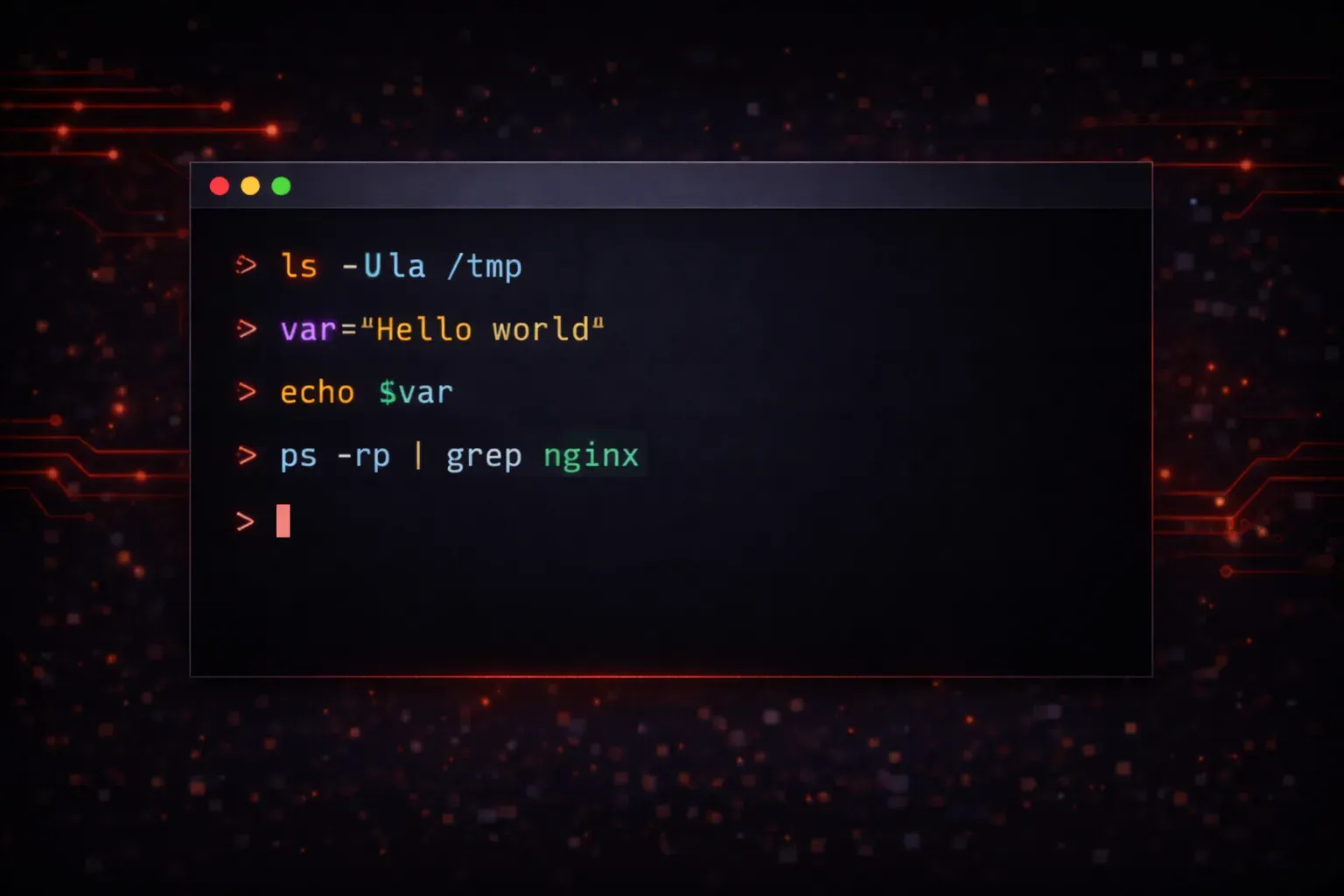 What Is Bash and Why Should You Learn It