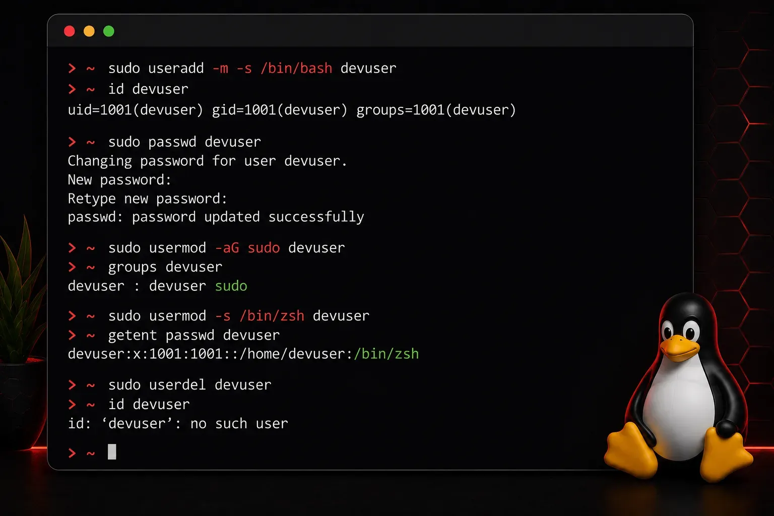 Creating and Managing Users in Linux