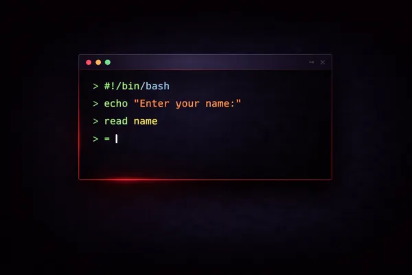 Bash User Input with the Read Command