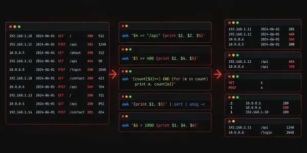 Awk: Processing Text Data in Bash